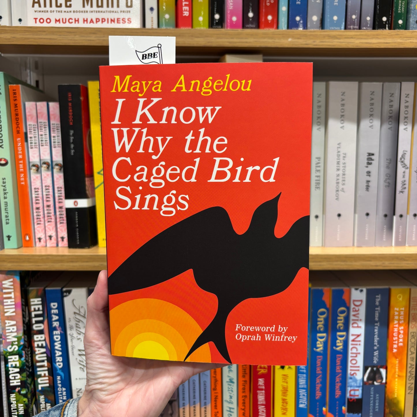 I Know Why the Caged Bird Sings - Maya Angelou